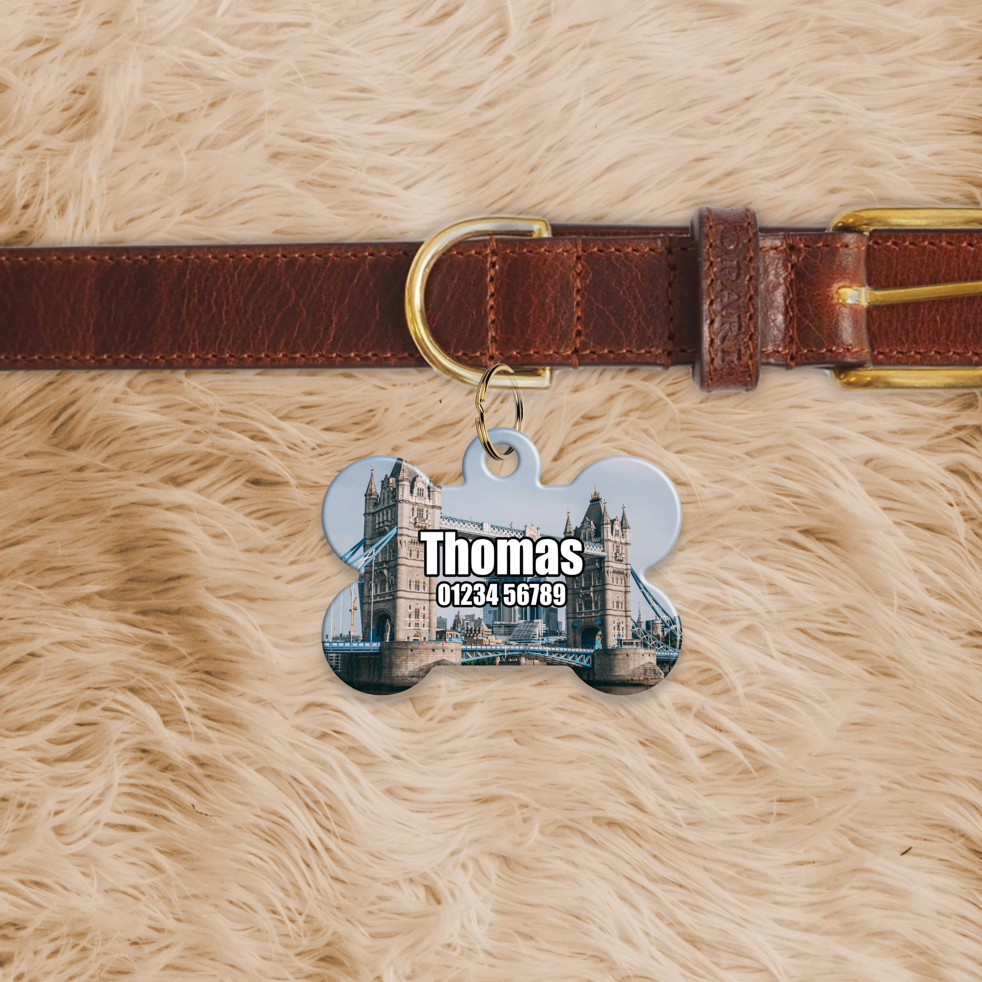 Bone Shaped Dog Tag - Image 10