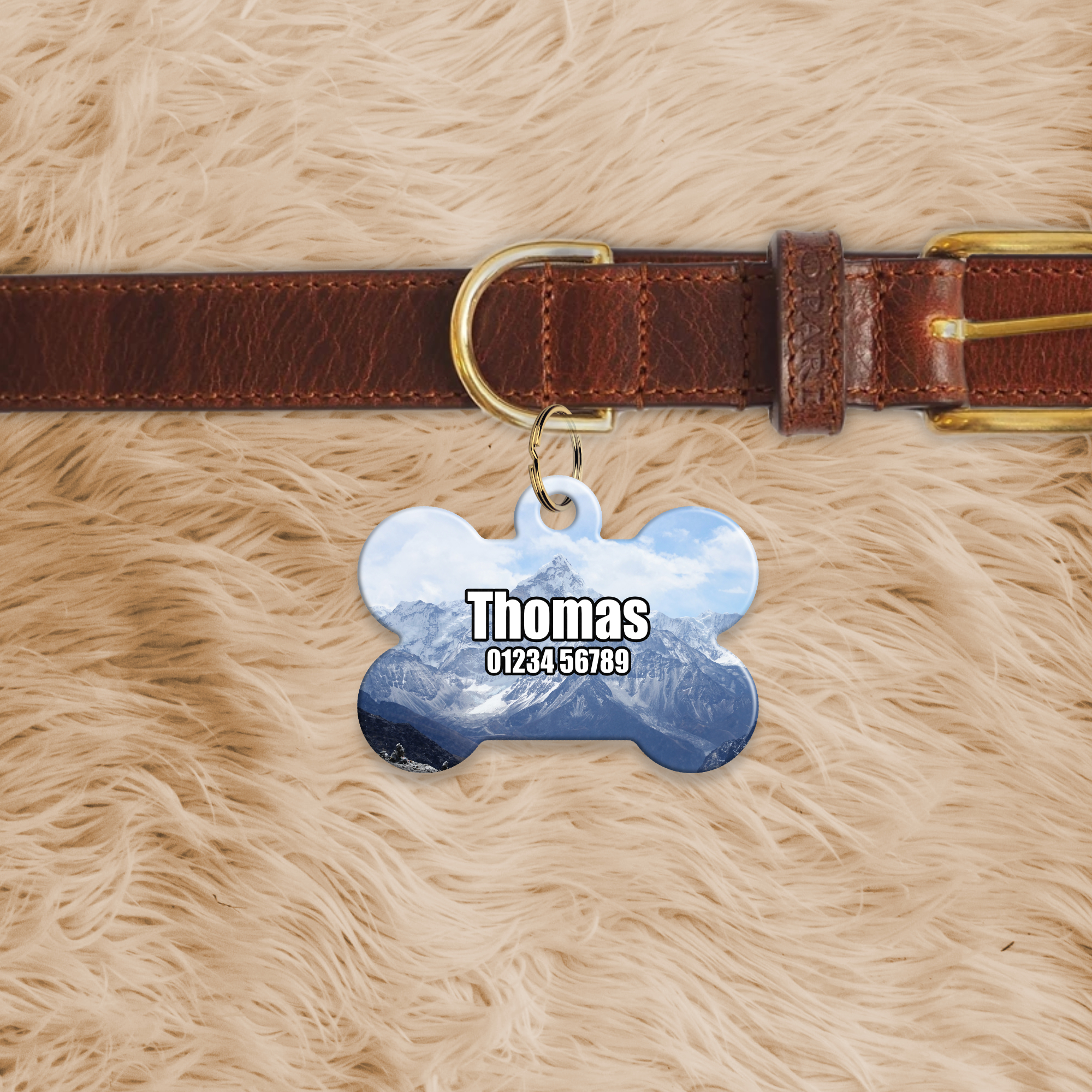 Bone Shaped Dog Tag - Image 14
