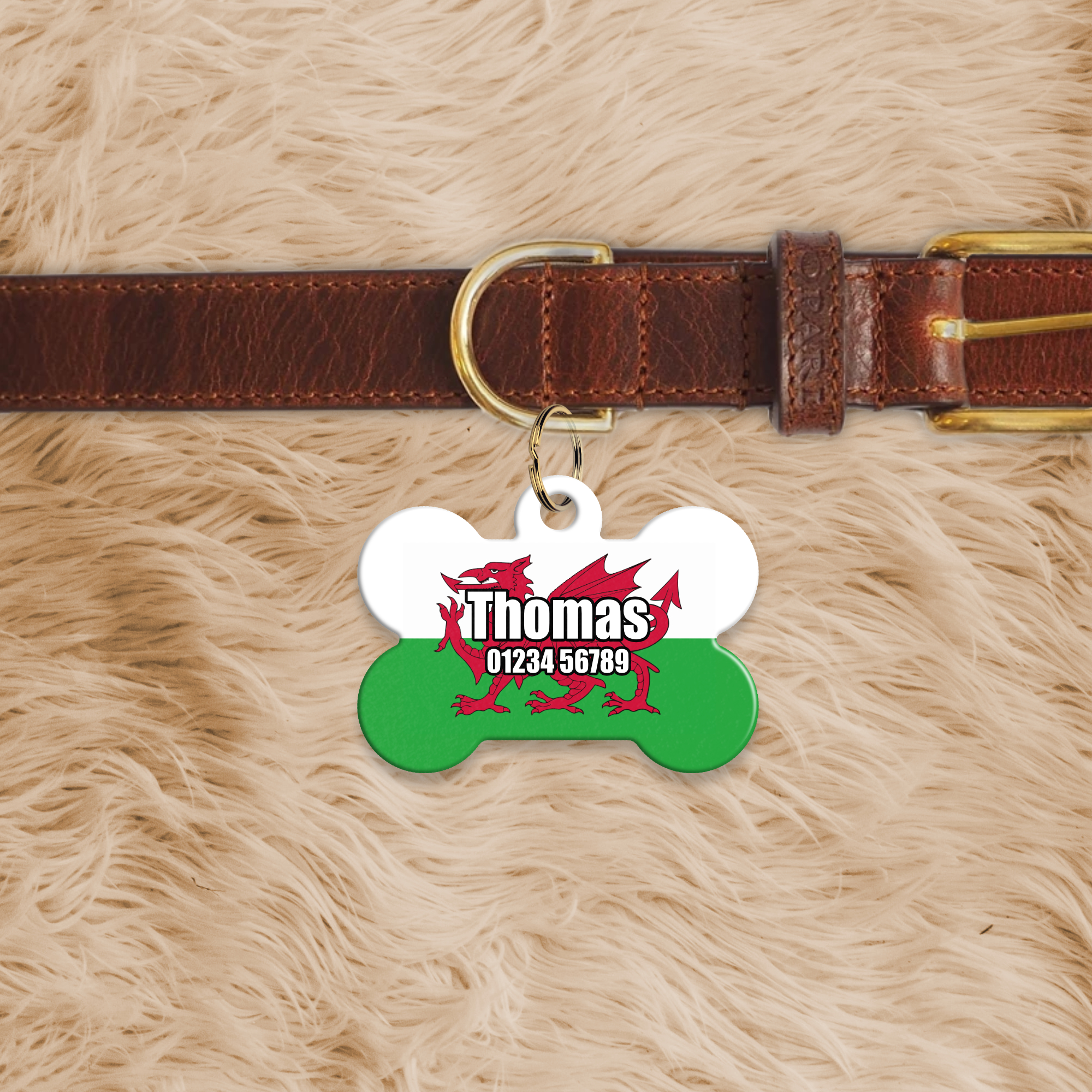 Bone Shaped Dog Tag - Image 3